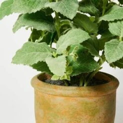 Artificial Potted Mint Leaf - Threshold™ Designed With Studio McGee -Threshold Home Decoration GUEST 19a08200 78b7 461e bcd9 c962450d4305