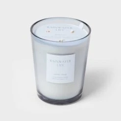 Colored Vase Glass With Dustcover Rainwater Lily Candle Gray - Threshold™ -Threshold Home Decoration GUEST 1a738ead 7e7a 4f46 b4ff 79439b3488d0