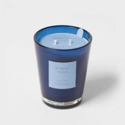 Colored Vase Glass With Dustcover Marine Moss Candle Blue - Threshold™ -Threshold Home Decoration GUEST 2f74f3e1 96a9 4d09 847e 100c47a93447