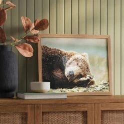 20" X 16" Bear Photography Framed Art Brown - Threshold™