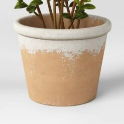 Artificial Medium Boxwood In Terracotta Pot Green - Threshold™ Designed With Studio McGee -Threshold Home Decoration GUEST 3859bebc ef74 4067 b0a8 d2730a37750b