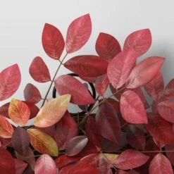 Extra Large Leaf Wreath Red - Threshold™ -Threshold Home Decoration GUEST 5e6b4849 8d34 4657 a87e 78ecf0f9cf4c