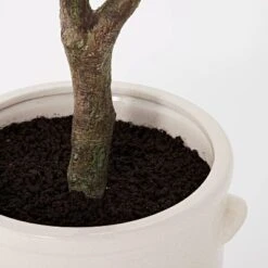 76.5"x 30" Artificial Olive Tree In Ceramic Pot - Threshold™ Designed With Studio McGee 5 76.5"x 30" Artificial Olive Tree In Ceramic Pot - Threshold™ Designed With Studio McGee -Threshold Home Decoration GUEST 5f1c0b63 d965 4bfb 9559 6084dae15f92